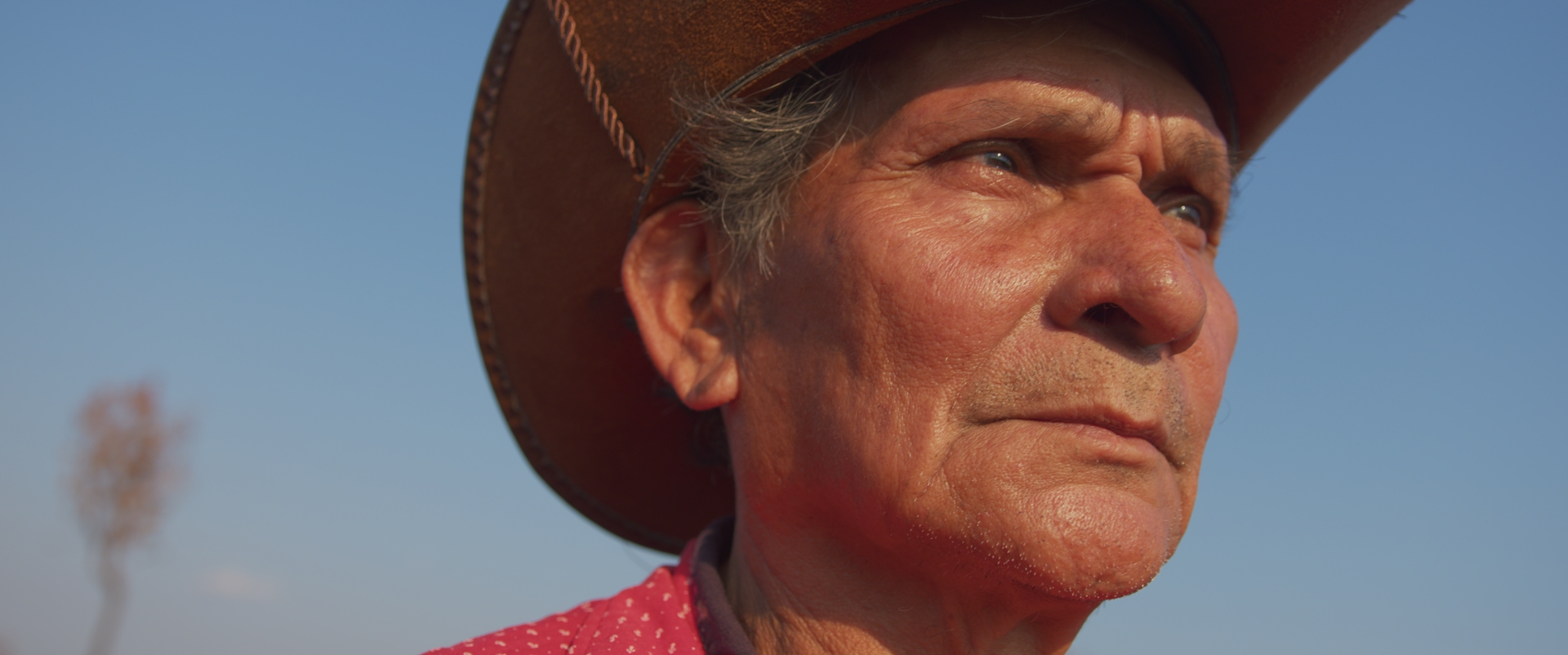 Don Benjamín